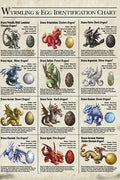 Grusskarte - Drachen Enzyklopädie