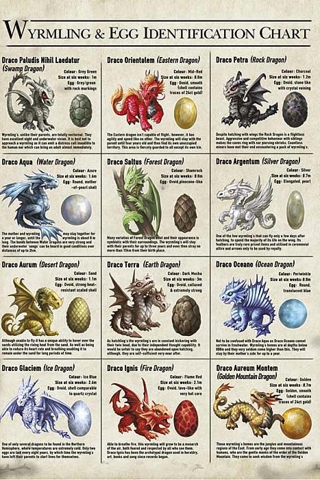 Greeting Card - Dragon Encyclopedia