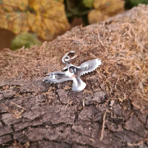 Raven amulet made of silver