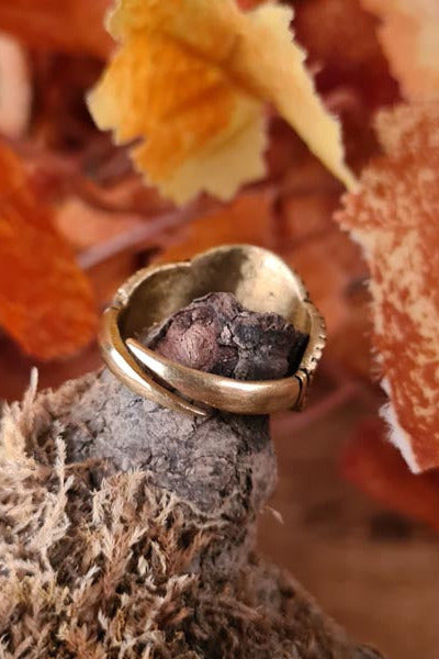 Anglo-Saxon Gentry Ring Aethelswith in Bronze - Replica