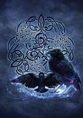 Greeting Card - Celtic Raven