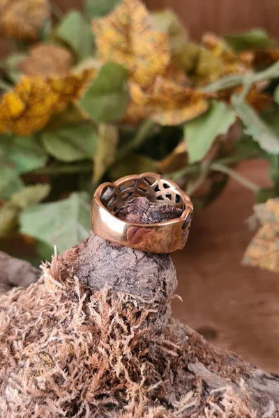 Bronze ring World Ash