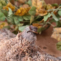 Bronze ring Celtic earth
