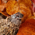 Claddagh-Ring aus Silber