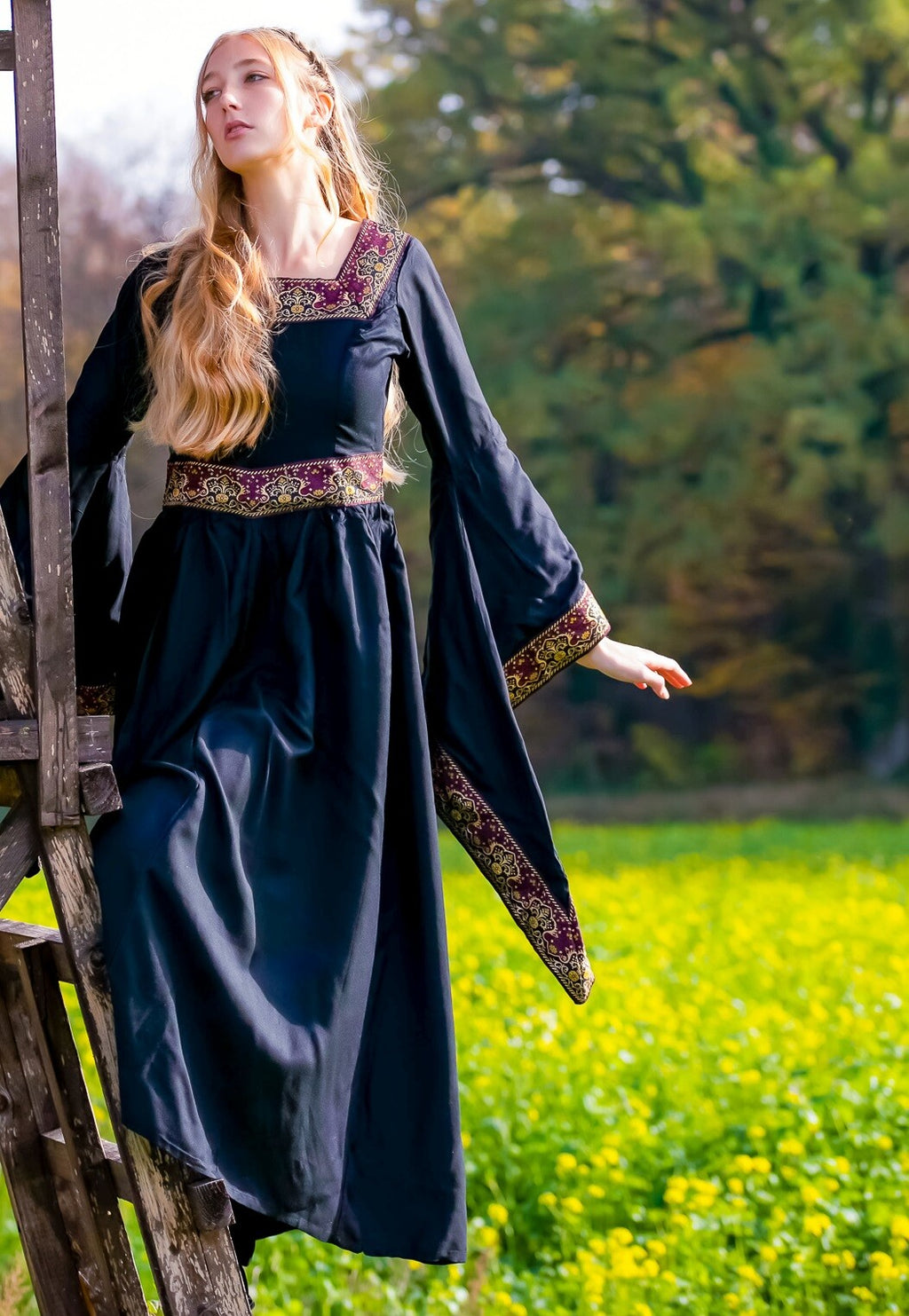 Noble Medieval Viscose Dress