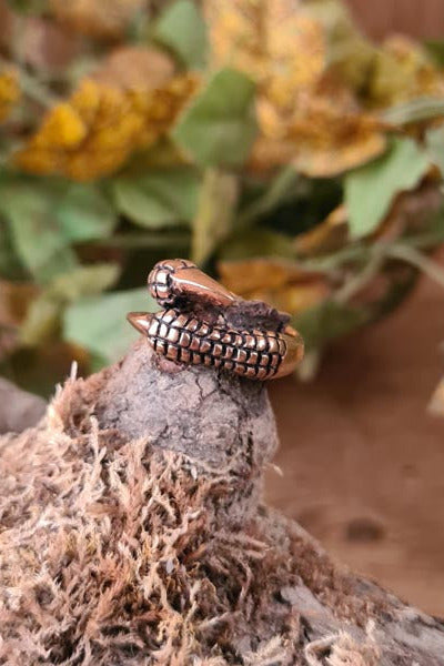 Fantasy Ring Dragon Claw made of Bronze