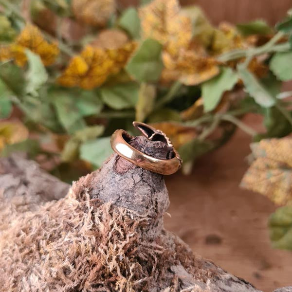 Fantasy Ring Drachen Klaue aus Bronze