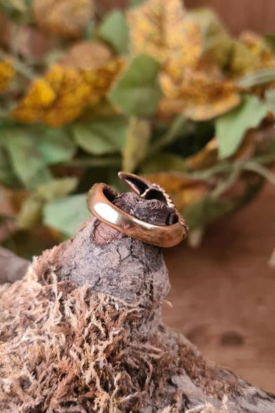 Fantasy Ring Dragon Claw made of Bronze