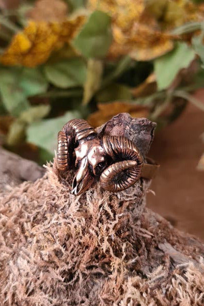 LARP Shaman Ram Skull Ring in Bronze