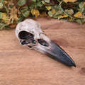 Gothic Schatulle Rabenschädel - handbemalt