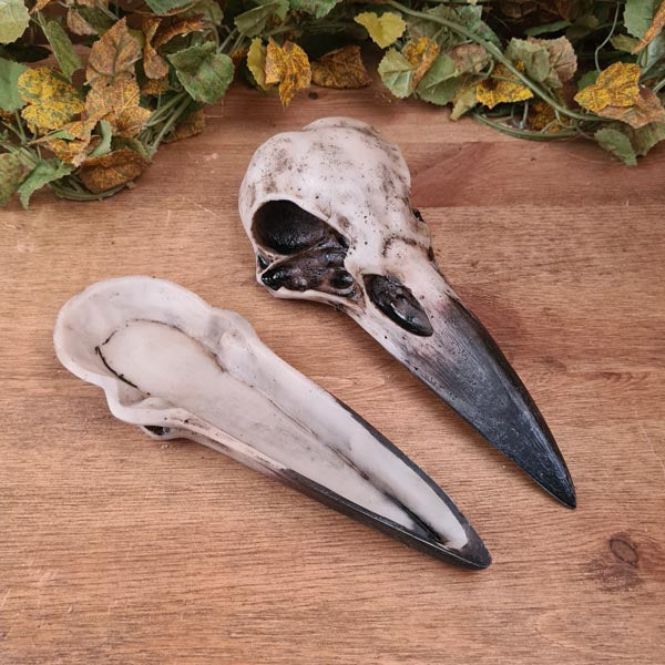 Gothic Schatulle Rabenschädel - handbemalt