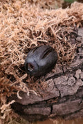 Large Early Medieval melon bead, black glass