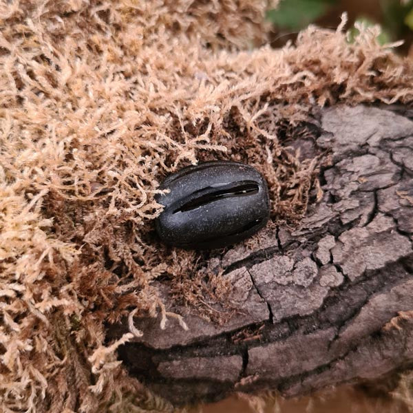 Große Frühmittelalter Melonenperle schwarz aus Glas