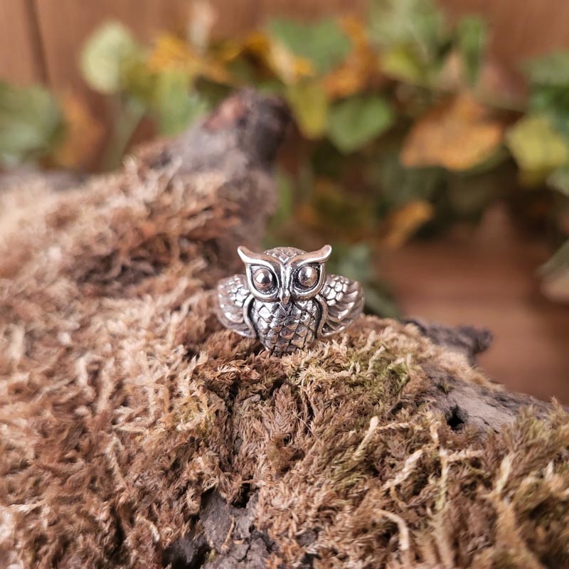 Hexen Ring Eule Aridia aus Silber
