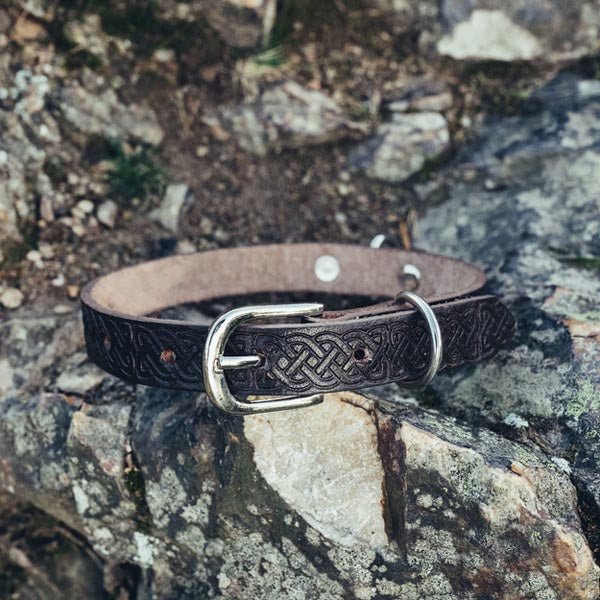 Leather dog collar with Celtic tooling dark brown