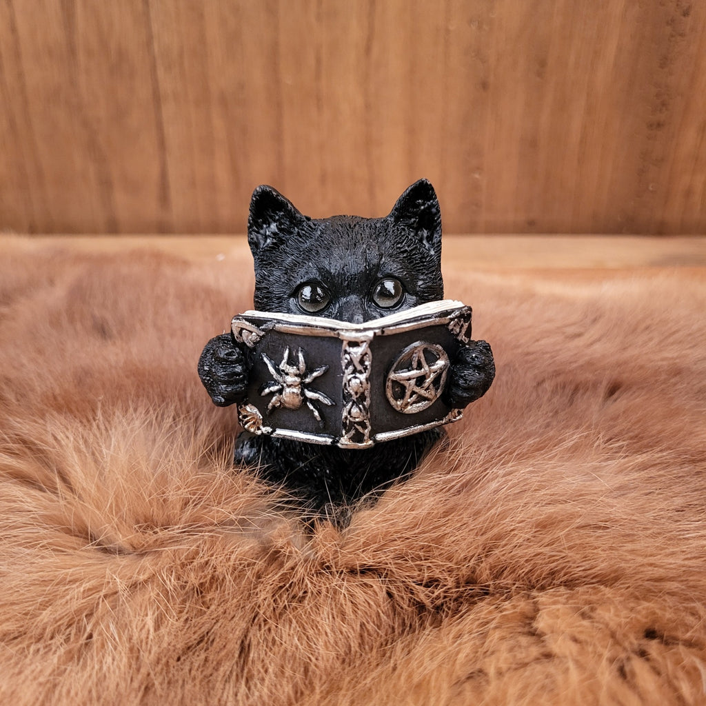 Katzen mit Zauberbuch Nichts hören - sehen - sagen - handbemalt