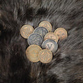 LARP Münzen Set Patrizier
