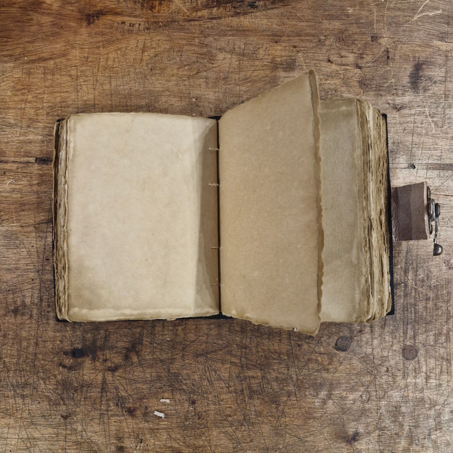 Lederbuch Lebensbaum mit Wolfspaar mit Riegelhaken