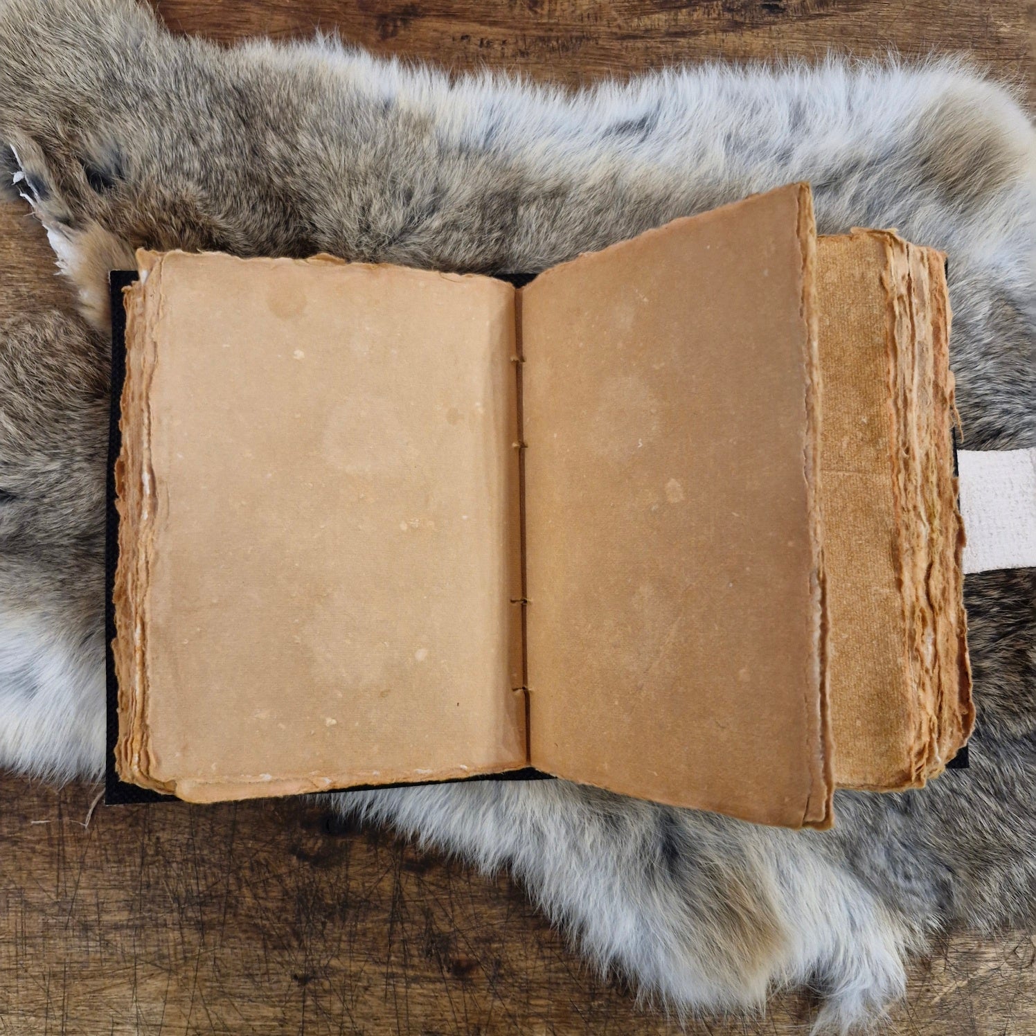 Lederbuch Hirsch mit Riegelhaken