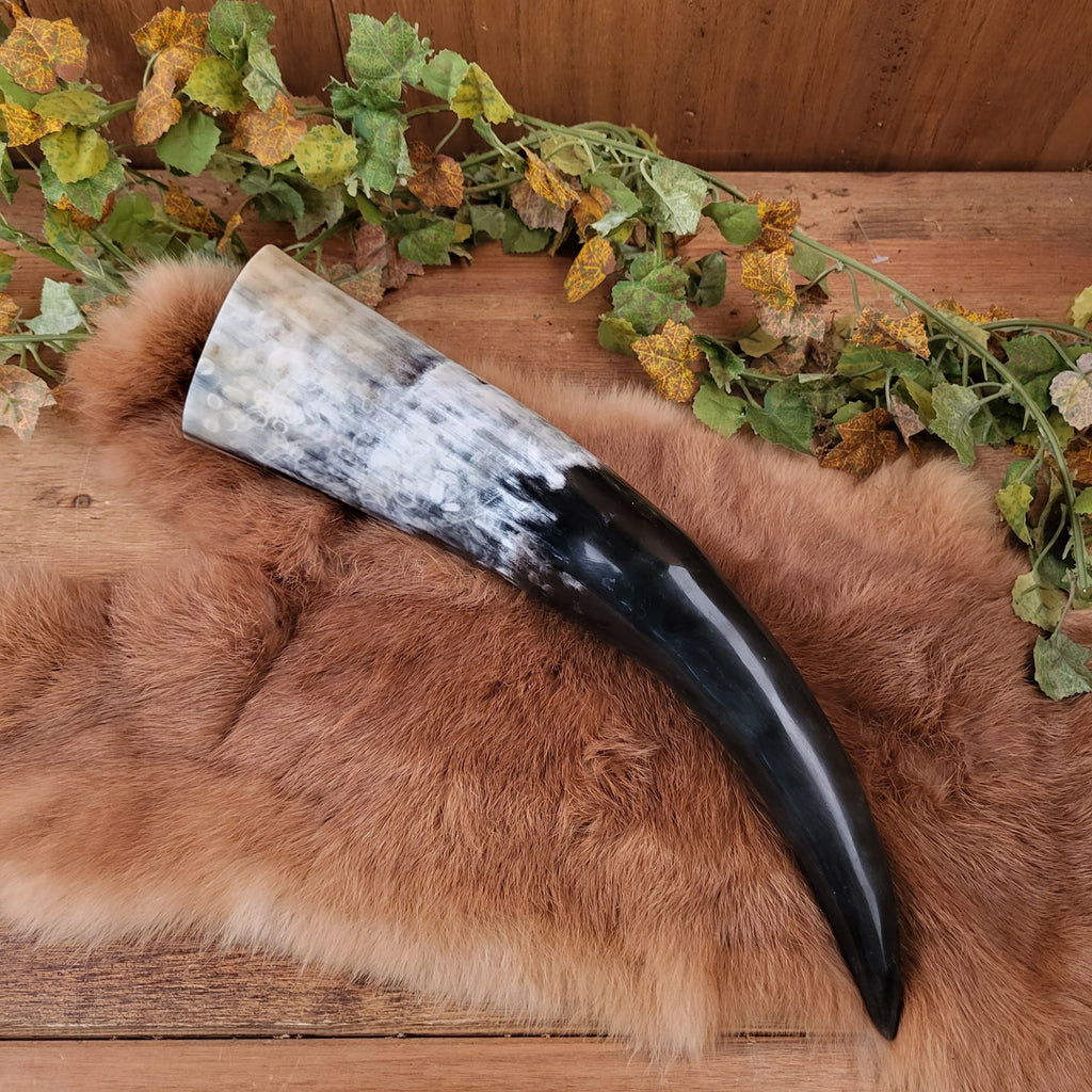 Medieval Drinking Horn - Polished