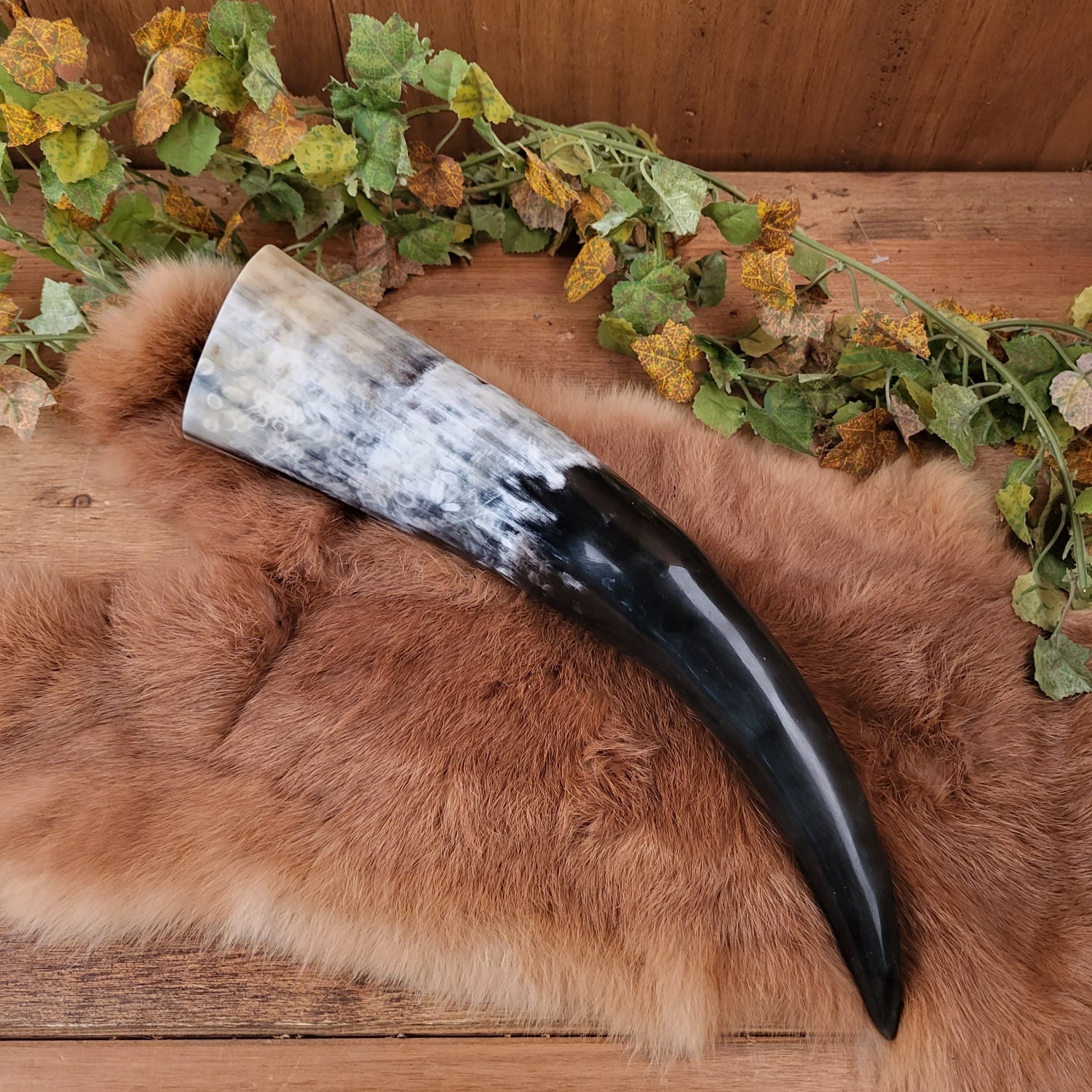 Medieval Drinking Horn - Polished