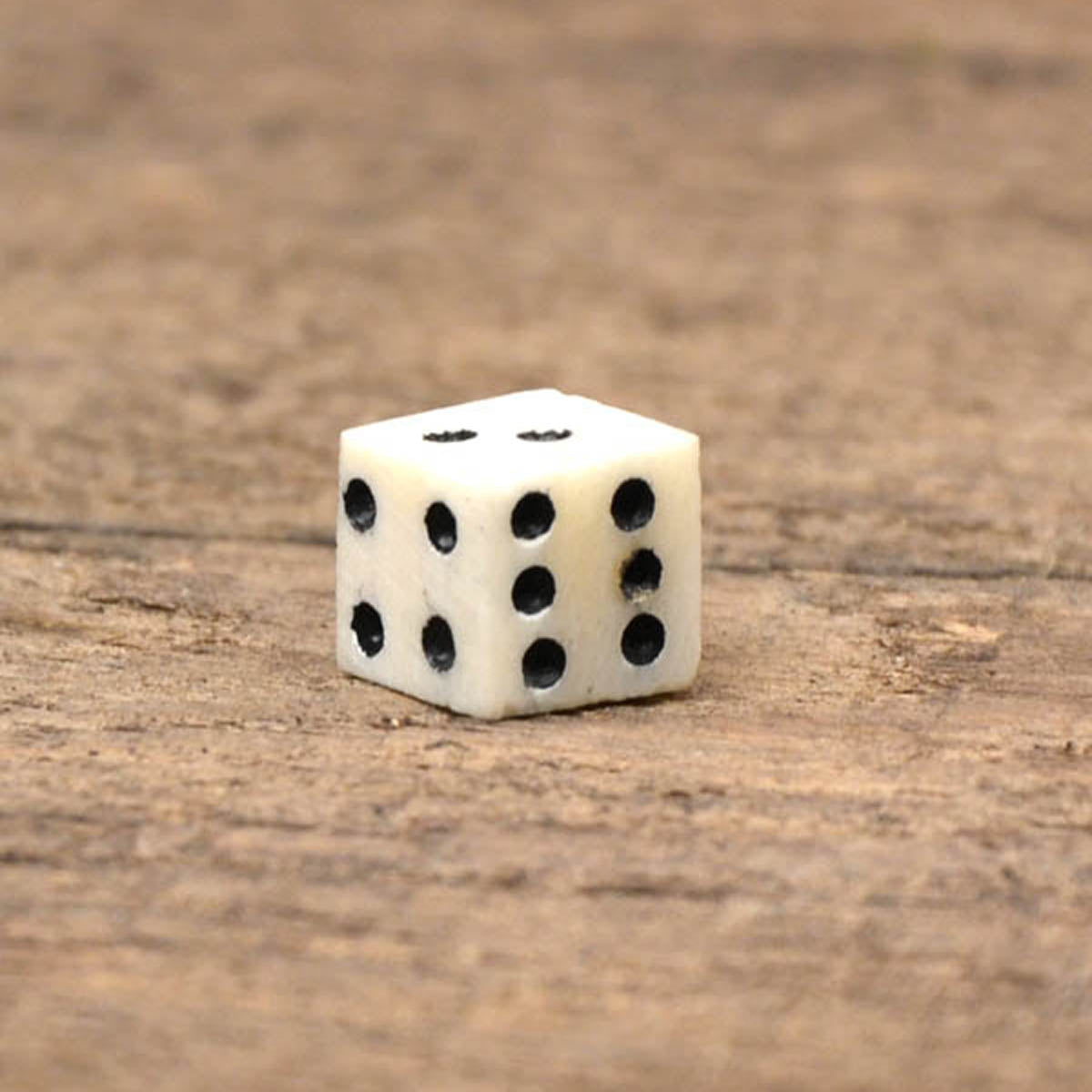 Medieval Dice Made of Bone - Small