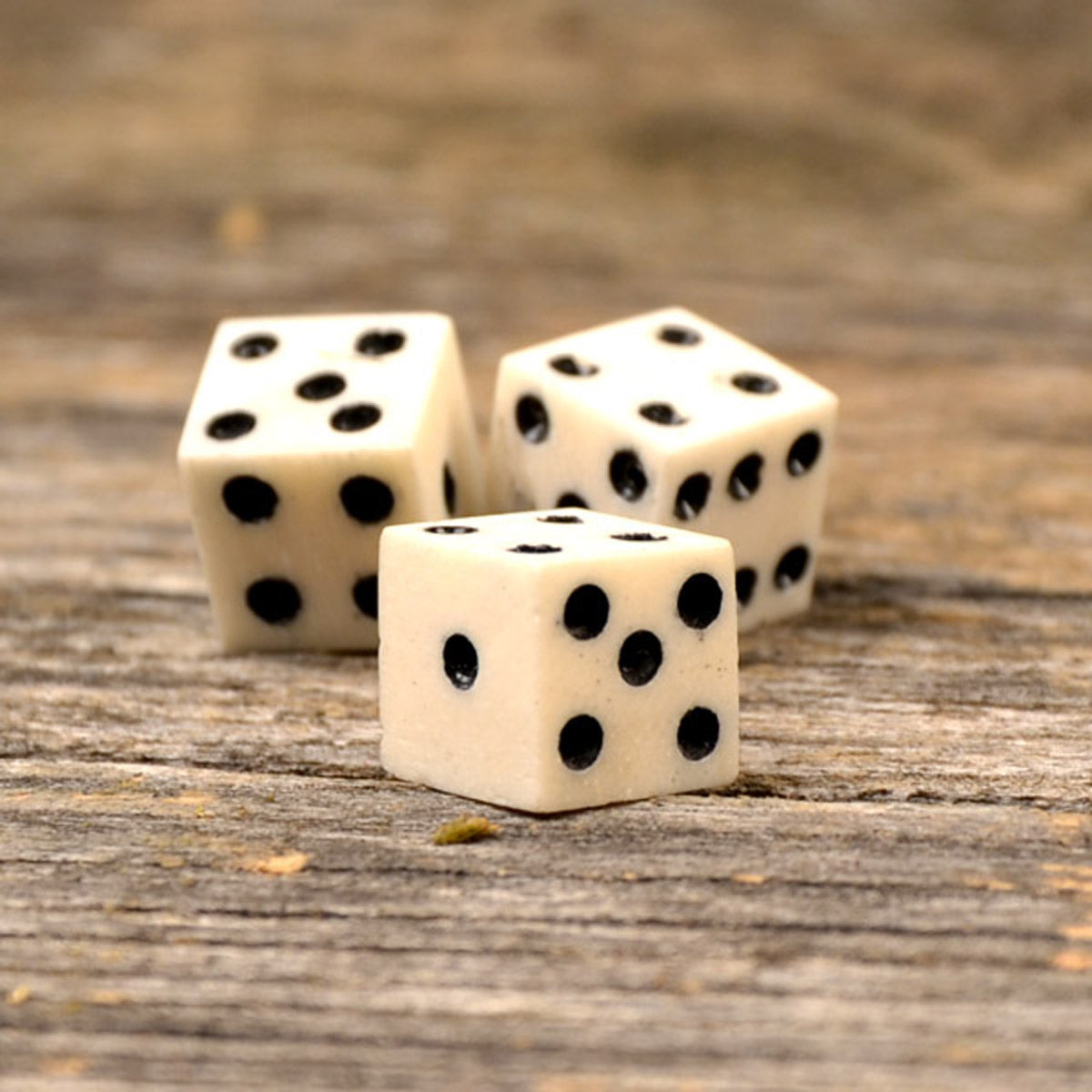 Medieval Dice Made of Bone - Small