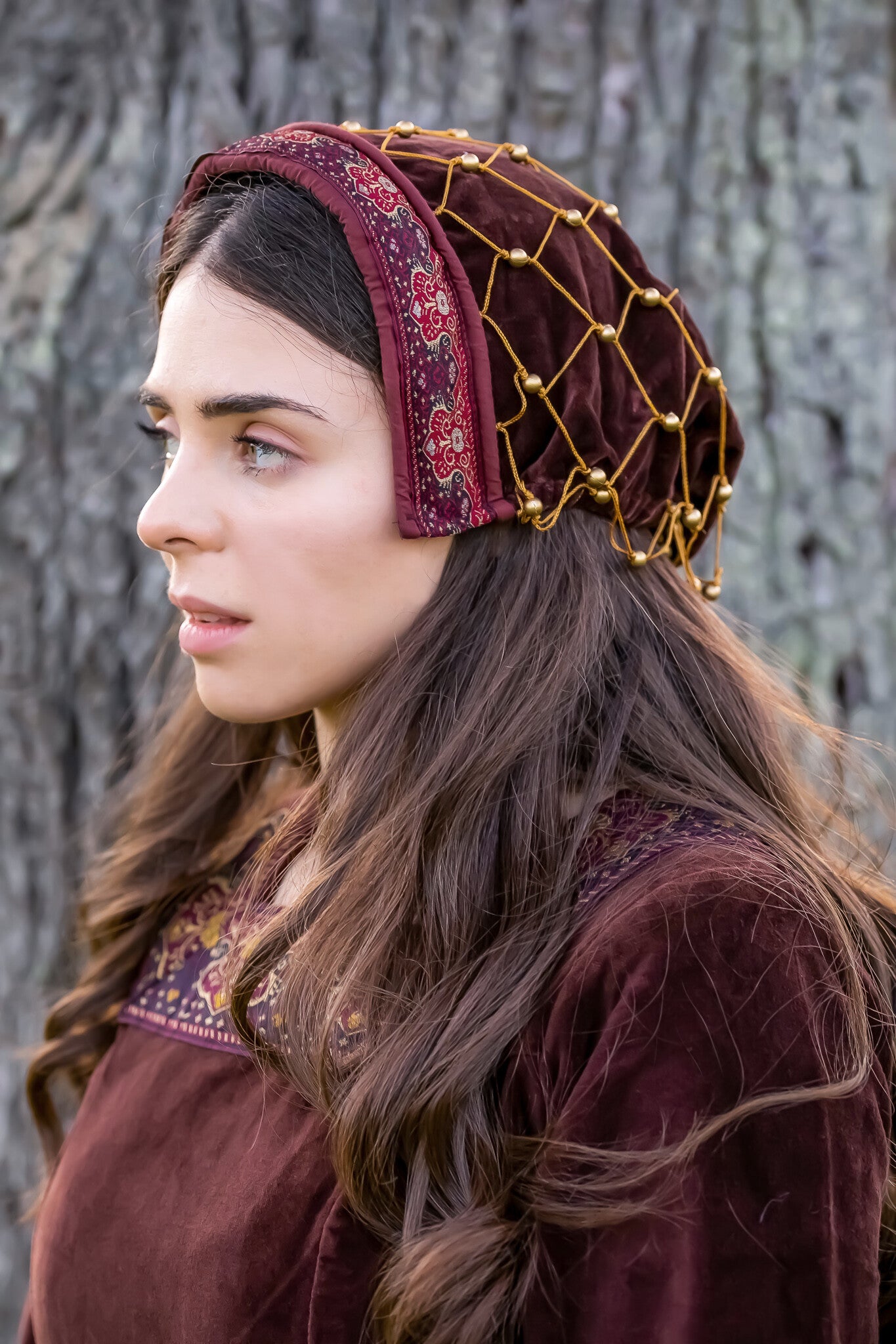 Medieval Velvet Hood