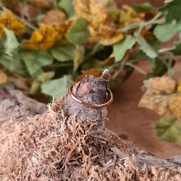 Medieval Bronze Snake Ring