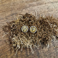 Stud earrings with round amber in rhodium-plated silver
