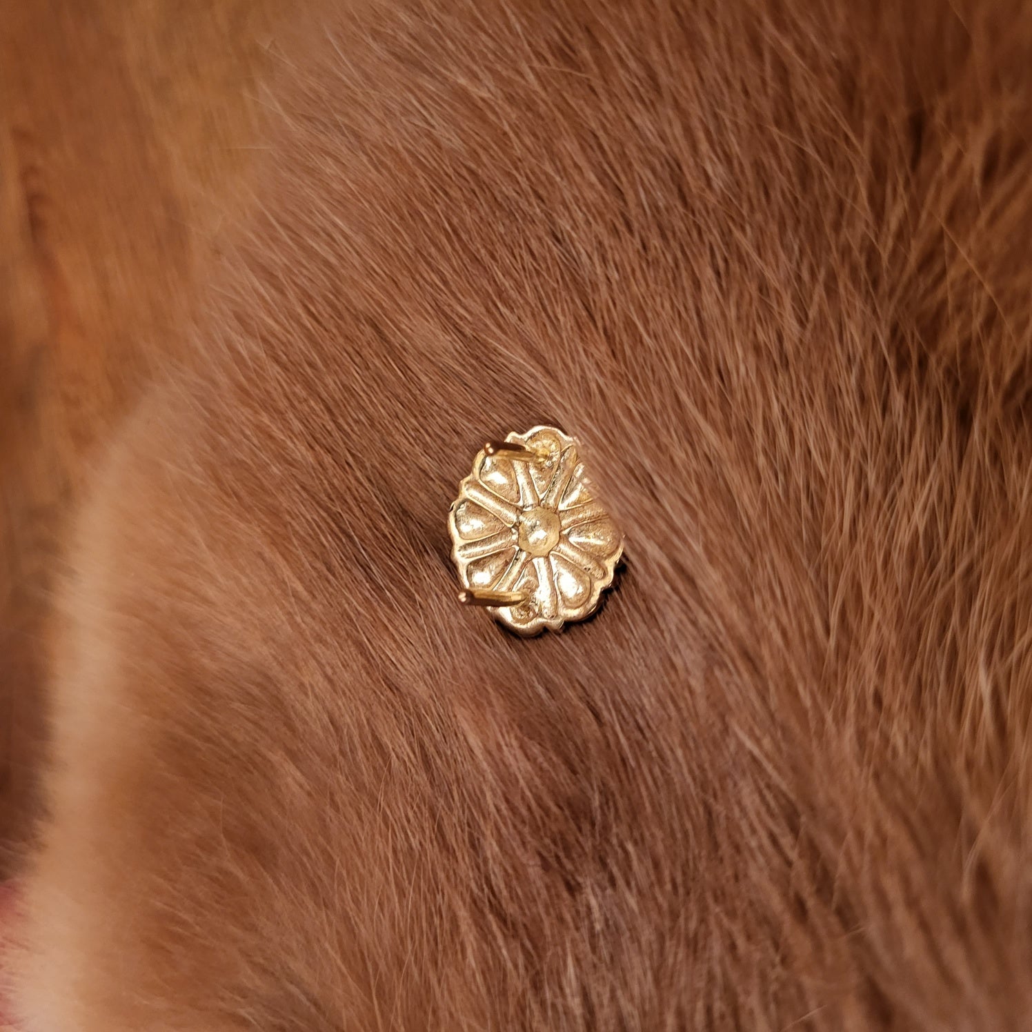 Renaissance Belt Fitting Mountain Flower in Bronze for 2 cm Straps - Replica