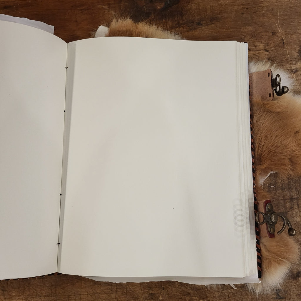 Riesiges Lederbuch mit geprägtem Pentagramm und sechs Steinen