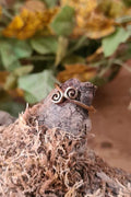 Bronze Life Spiral Ring