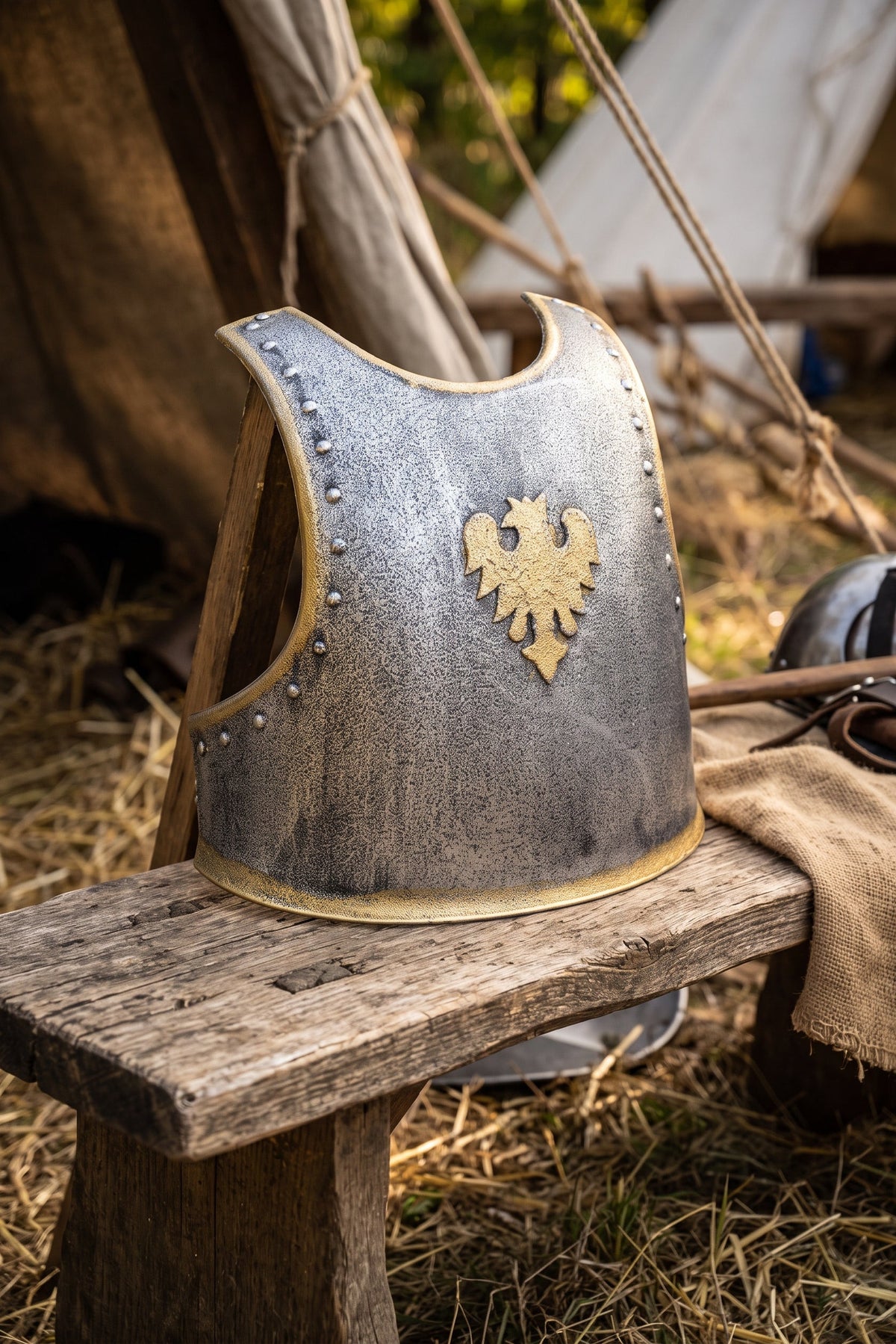 Kids' Knight Chest Plate