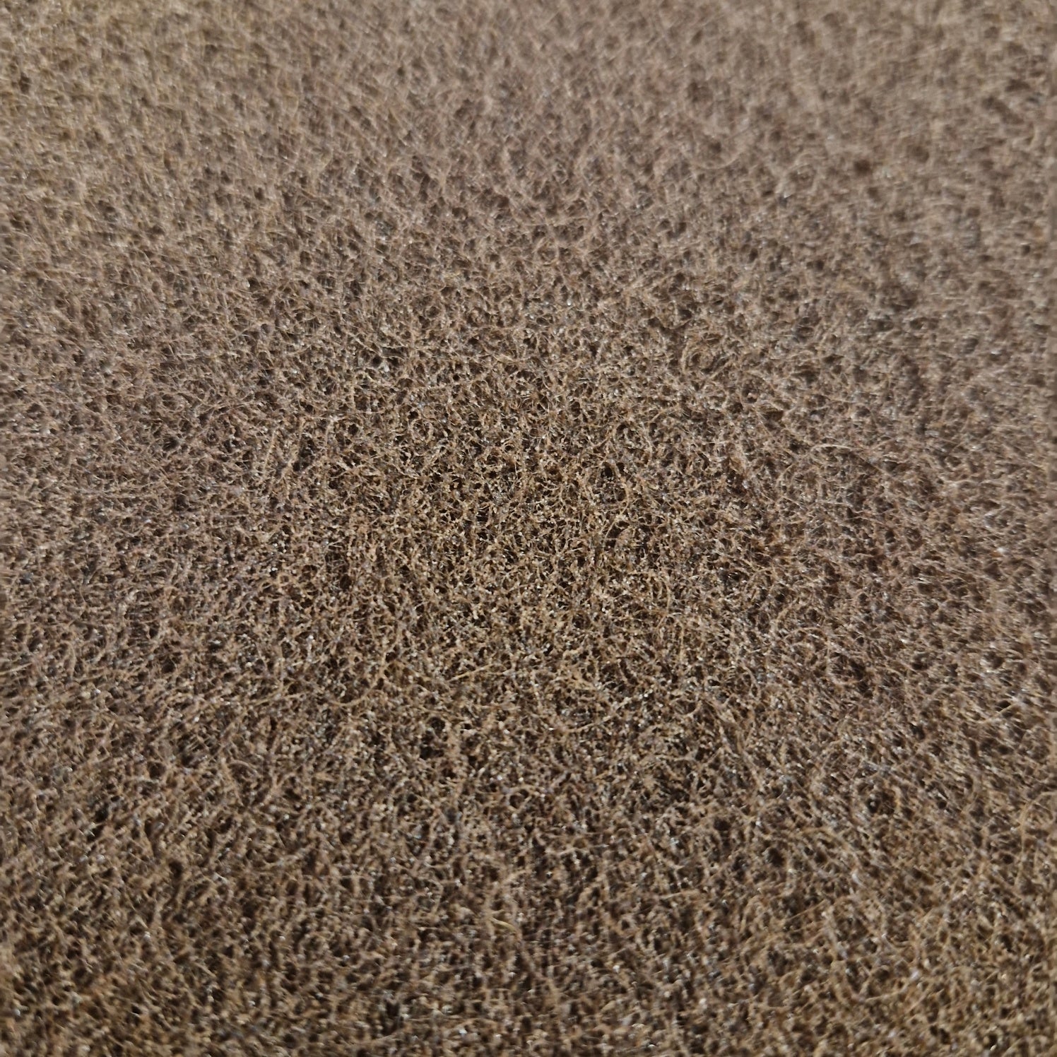 Abrasive fleece for cleaning weapons and armor