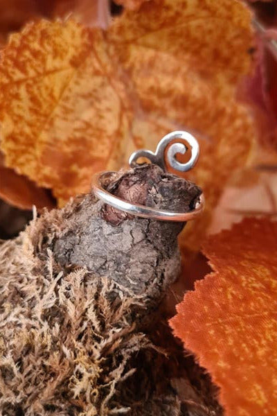 Silver Ring Spirals
