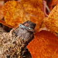 Silver ring ornamentation