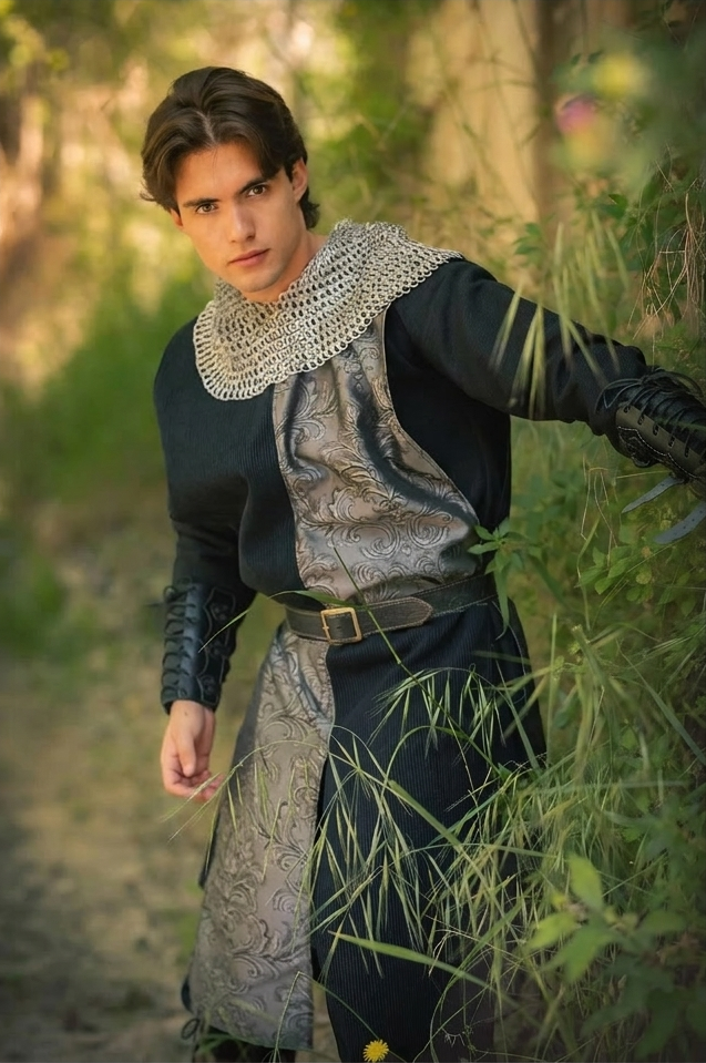 Gambeson noble in checkerboard pattern