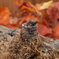 Wiccan Silver Ring Raven with Knotwork