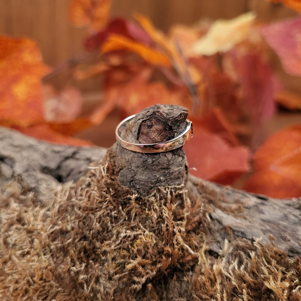 Wiccan Silver Ring Raven with Knotwork