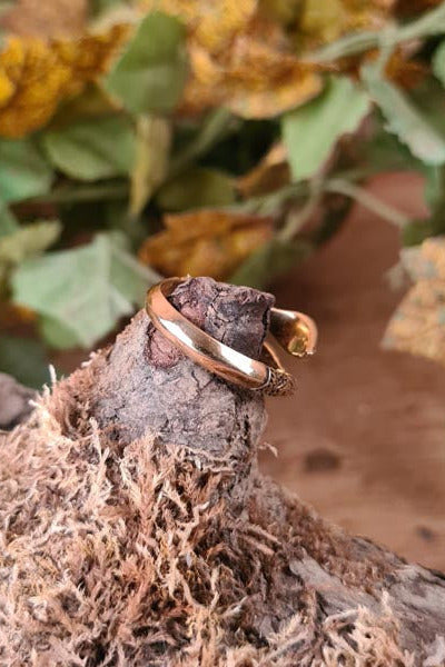 Viking Bronze Spearhead Rings