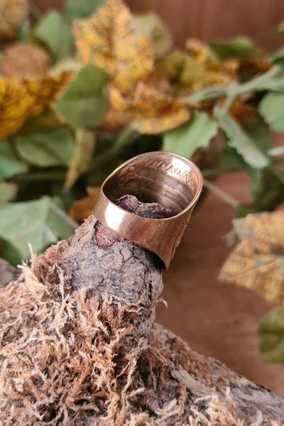 Viking Splendor Ring Hroerik in Bronze