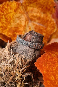Wikinger Ring Horik aus Silber