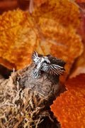 Wikinger Ring Rabe Hugin aus Silber