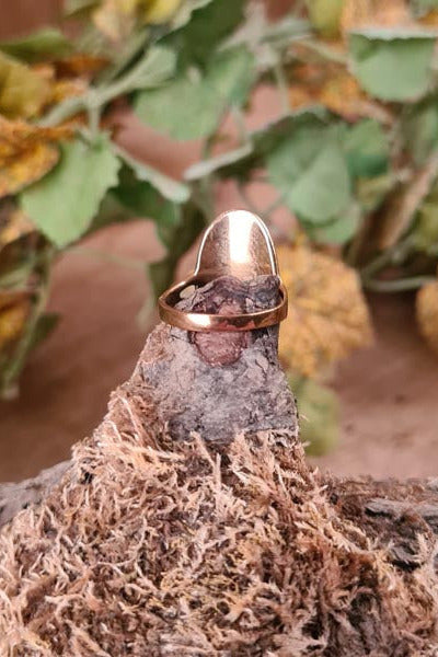 Viking protective ring in Urnes style, made of bronze