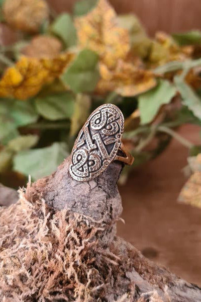 Viking protective ring in Urnes style, made of bronze