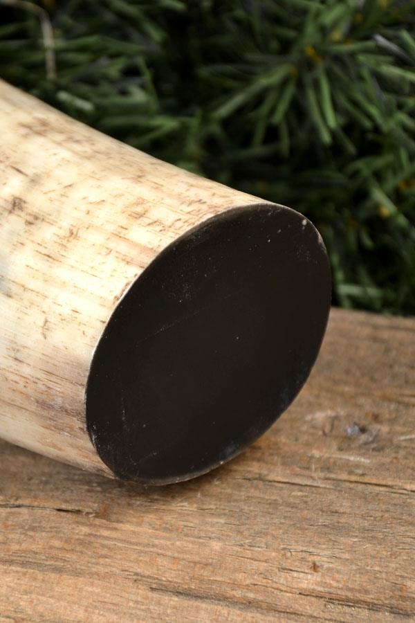 Viking Horn Mug