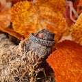 Viking ring Horik in silver
