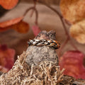 Viking Bronze Plaitwork Vow Ring