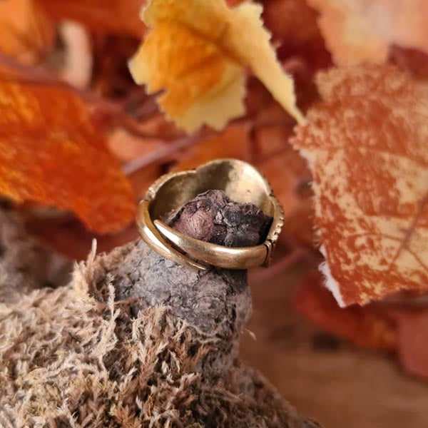 Anglo-Saxon Gentry Ring Aethelswith in Bronze - Replica
